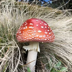 Für Bergliebhaber Für Bergliebhaber